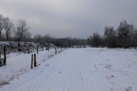 Döberitzer Heide round trail with snow 2021-02-14 66