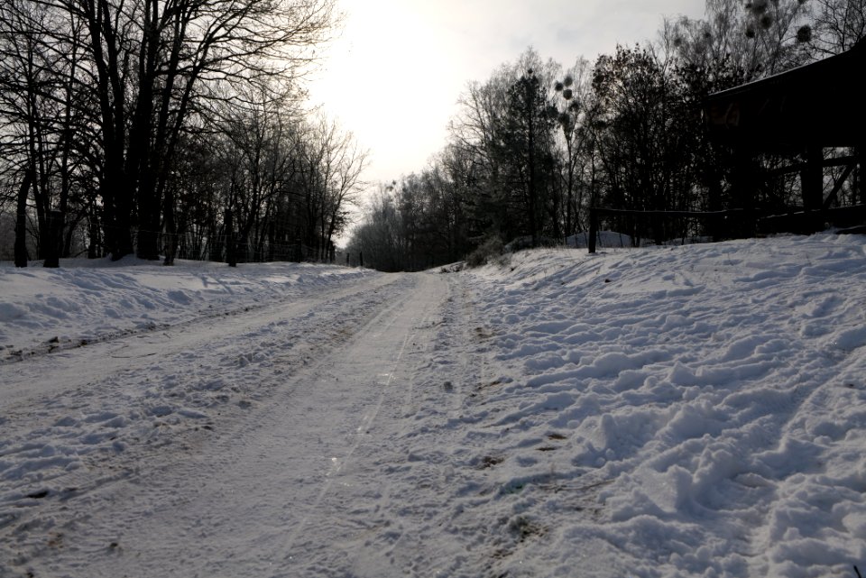 Döberitzer Heide round trail with snow 2021-02-14 107