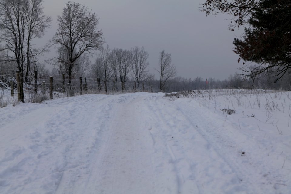 Döberitzer Heide round trail with snow 2021-02-14 64