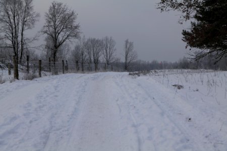 Döberitzer Heide round trail with snow 2021-02-14 64