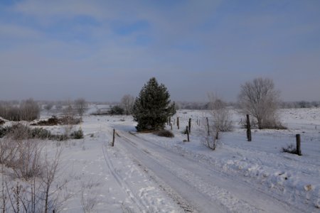 Döberitzer Heide round trail with snow 2021-02-14 109