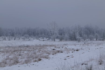 Döberitzer Heide with snow 2021-02-14 53