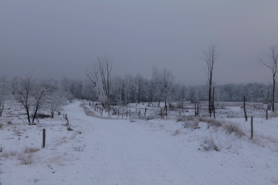 Döberitzer Heide round trail with snow 2021-02-14 57
