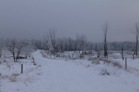 Döberitzer Heide round trail with snow 2021-02-14 57