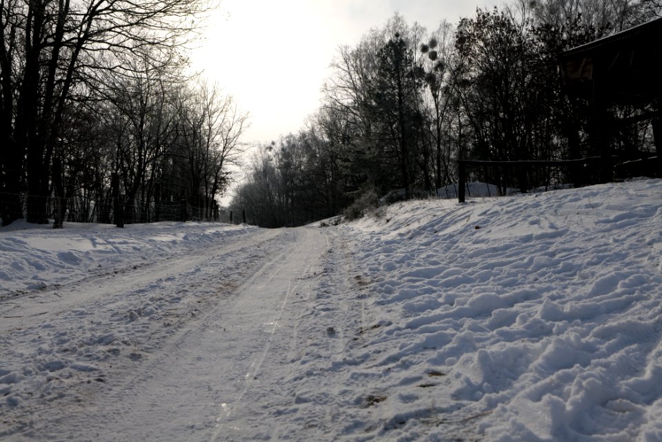 Döberitzer Heide round trail with snow 2021-02-14 108