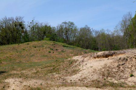 Döberitzer Heide open landscape 2020-05-08 95