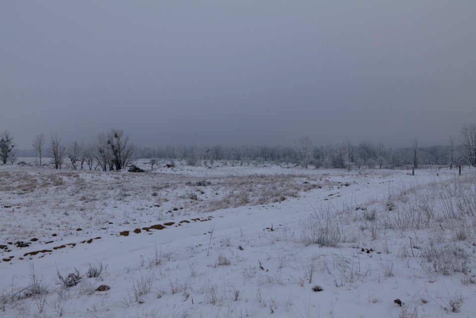 Döberitzer Heide with snow 2021-02-14 52