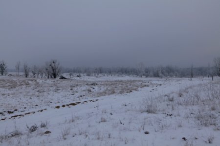 Döberitzer Heide with snow 2021-02-14 52