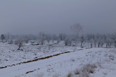 Döberitzer Heide with snow 2021-02-14 51