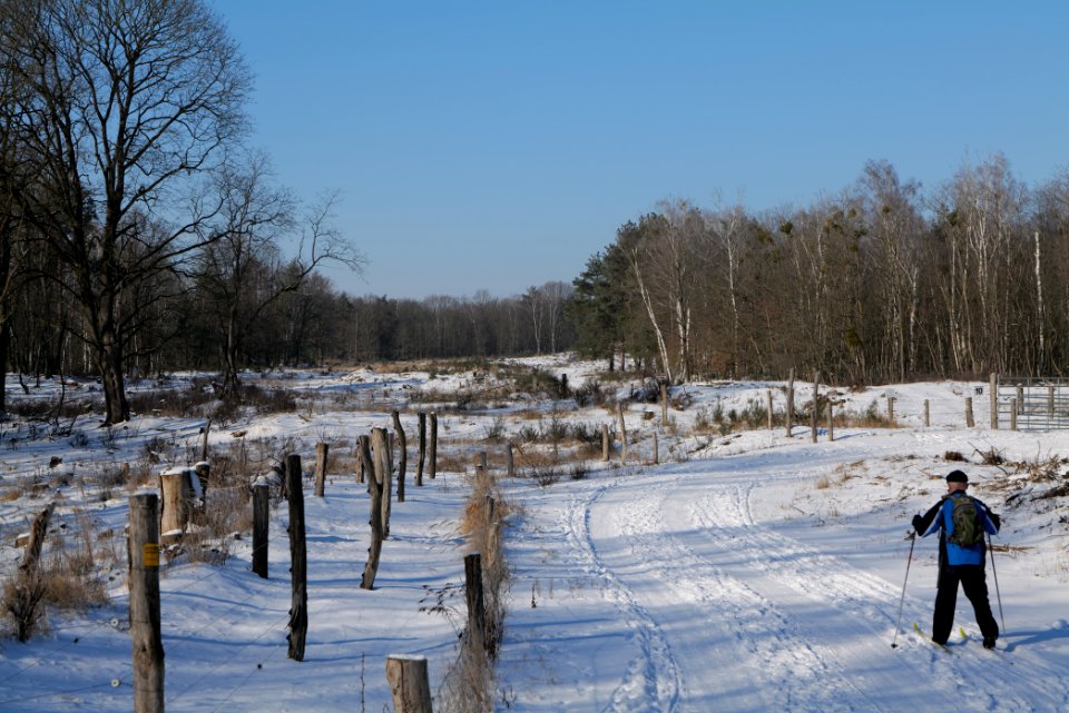 Döberitzer Heide round trail with snow 2021-02-14 115