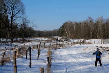 Döberitzer Heide round trail with snow 2021-02-14 115