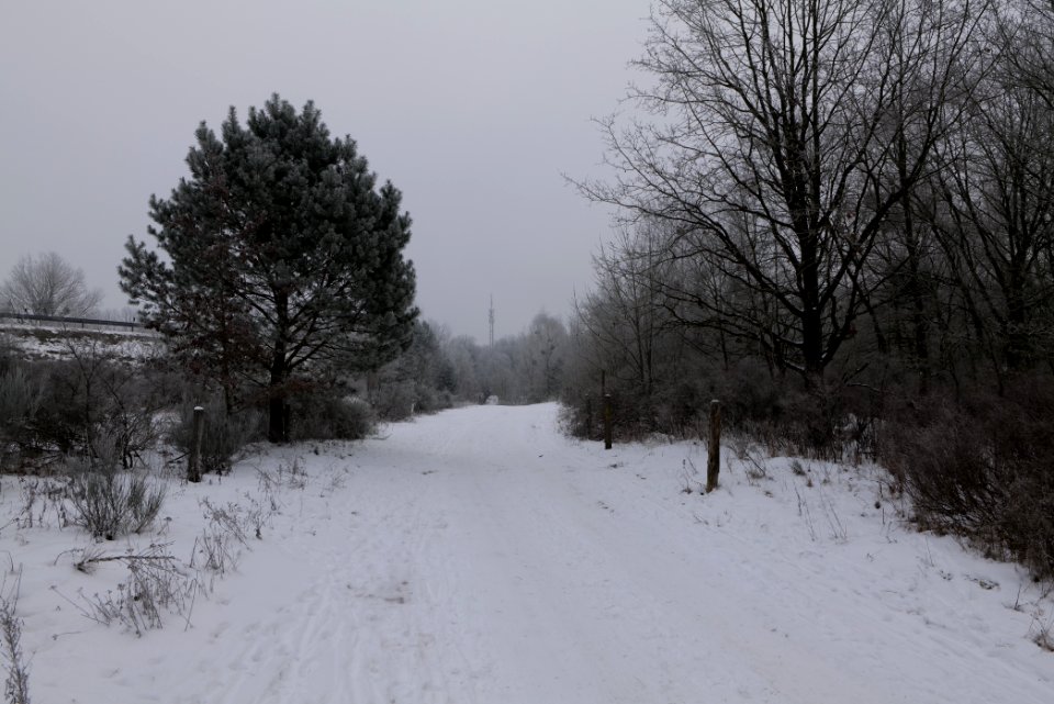 Döberitzer Heide round trail with snow 2021-02-14 06