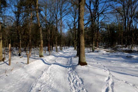 Döberitzer Heide round trail with snow 2021-02-14 114