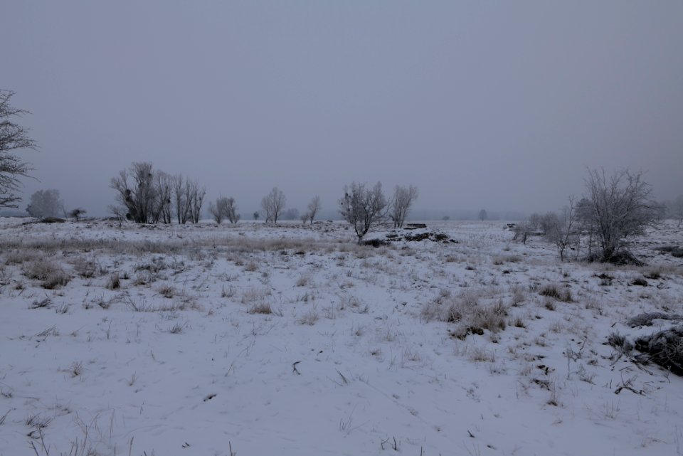 Döberitzer Heide with snow 2021-02-14 47