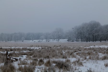 Döberitzer Heide with snow 2021-02-14 15