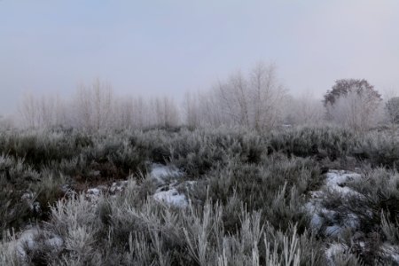 Döberitzer Heide with snow 2021-02-14 150