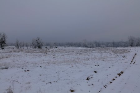 Döberitzer Heide with snow 2021-02-14 62
