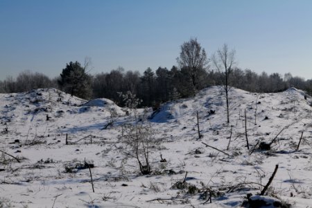 Döberitzer Heide with snow 2021-02-14 181