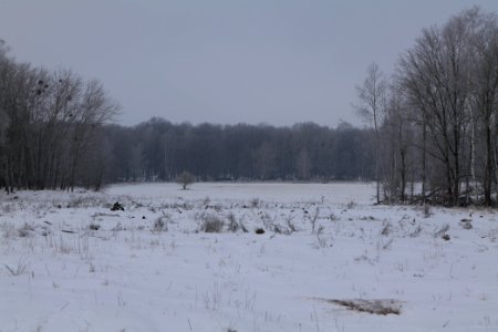 Döberitzer Heide with snow 2021-02-14 76