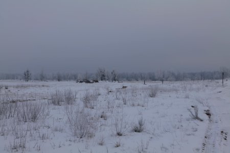 Döberitzer Heide with snow 2021-02-14 71