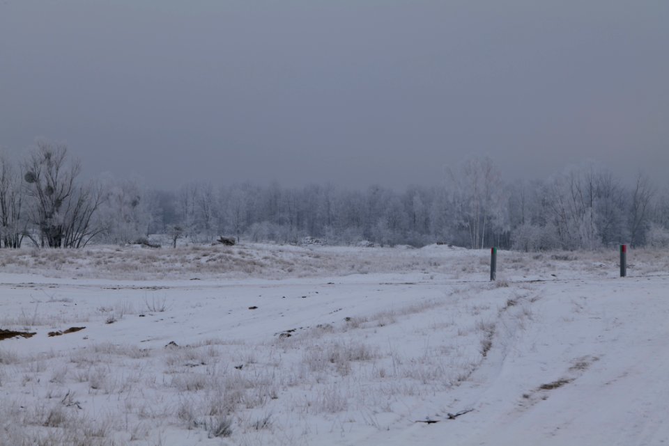 Döberitzer Heide with snow 2021-02-14 67