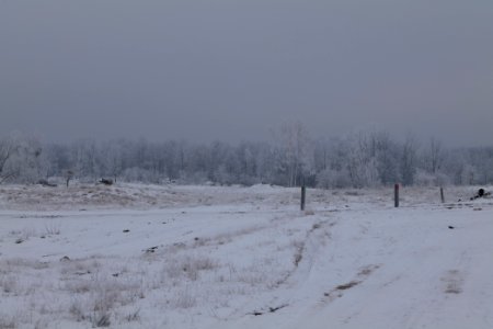 Döberitzer Heide with snow 2021-02-14 68