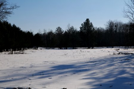 Döberitzer Heide with snow 2021-02-14 190