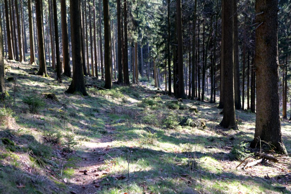 Döngesberg 2020-03-25 10