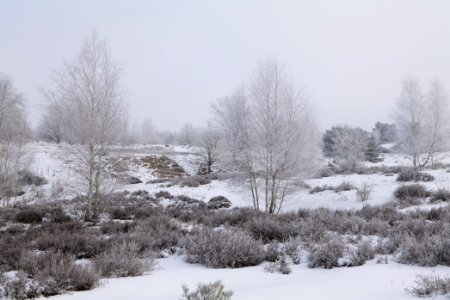 Döberitzer Heide with snow 2021-02-14 135