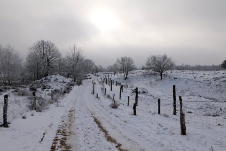 Döberitzer Heide round trail with snow 2021-02-14 95