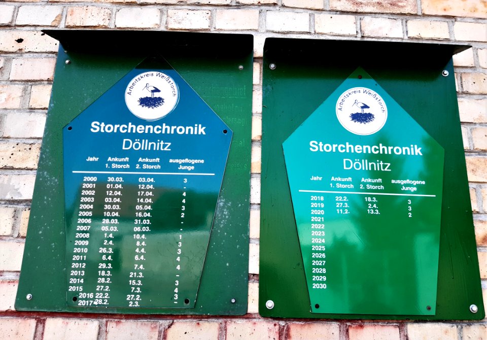 DöllnitzStörche Chronik