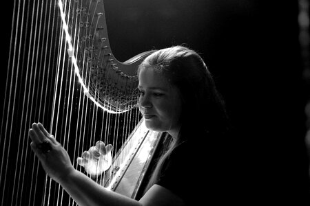 Harp logo hamburg