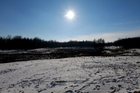 Döberitzer Heide with snow 2021-02-14 247