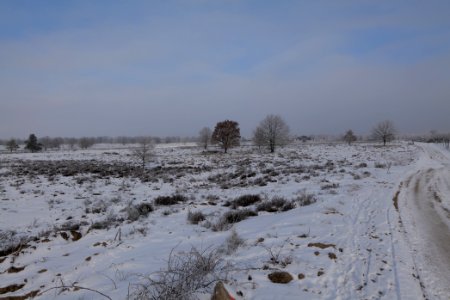 Döberitzer Heide with snow 2021-02-14 156