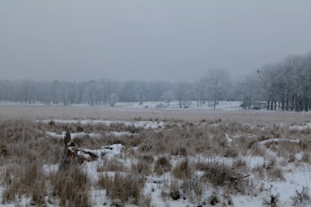 Döberitzer Heide with snow 2021-02-14 25