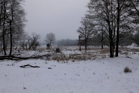 Döberitzer Heide with snow 2021-02-14 14