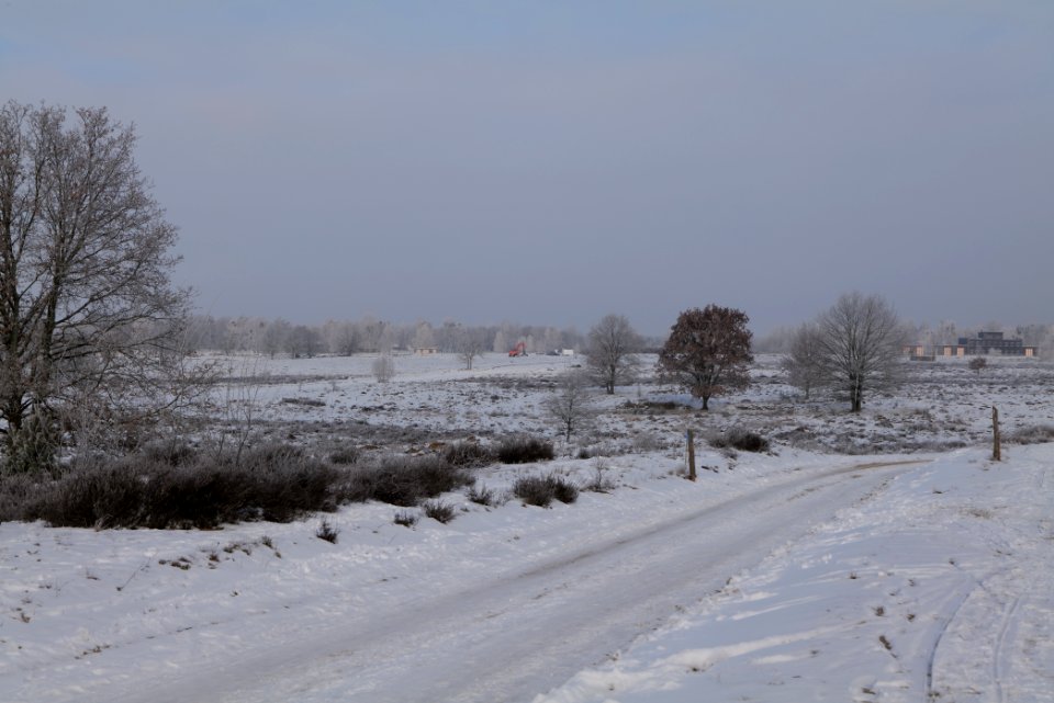 Döberitzer Heide with snow 2021-02-14 158