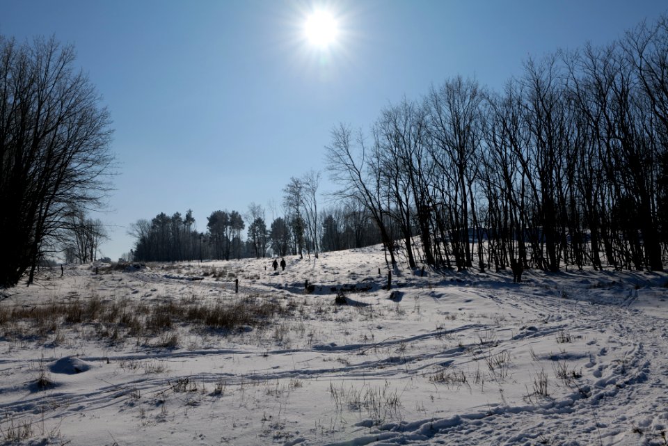 Döberitzer Heide with snow 2021-02-14 161