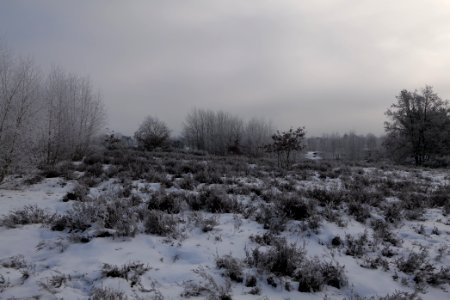 Döberitzer Heide with snow 2021-02-14 142