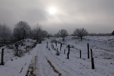 Döberitzer Heide round trail with snow 2021-02-14 93