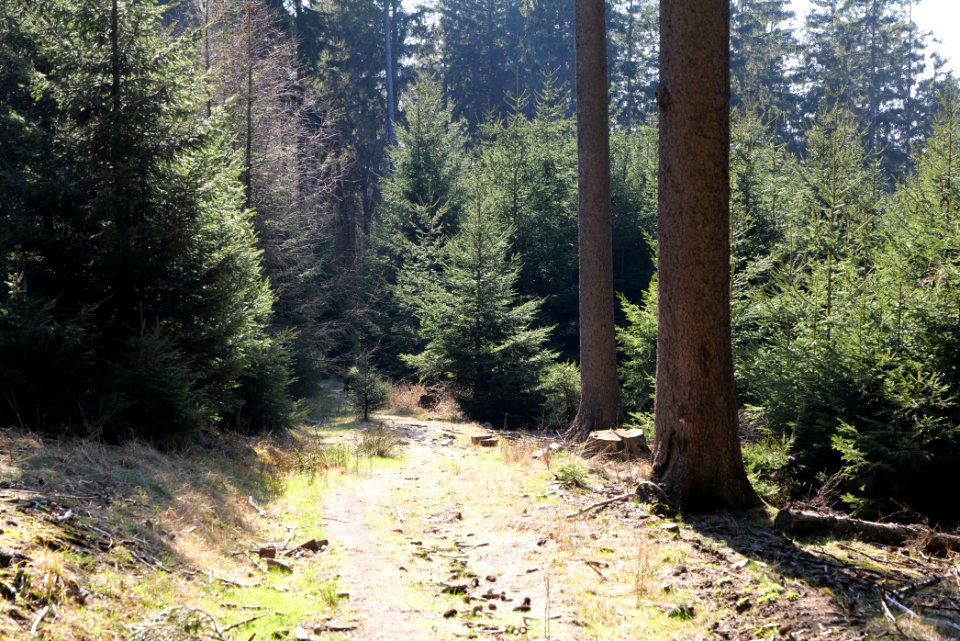 Döngesberg 2020-03-25 06