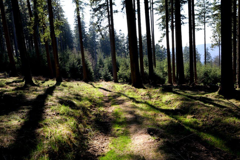 Döngesberg 2020-03-25 01