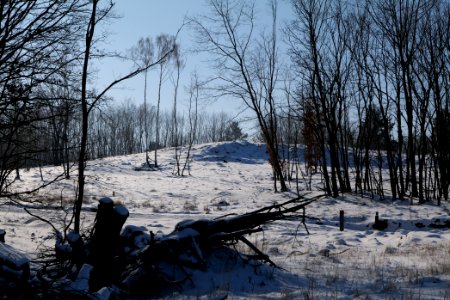Döberitzer Heide with snow 2021-02-14 162