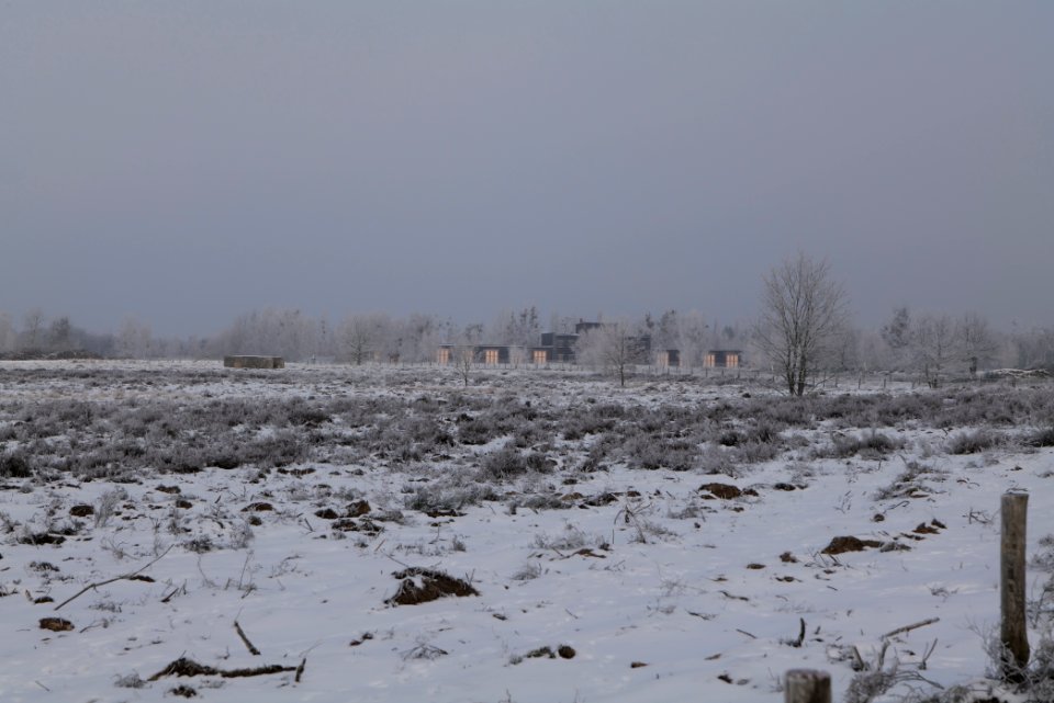 Döberitzer Heide with snow 2021-02-14 144