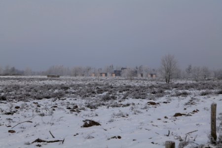 Döberitzer Heide with snow 2021-02-14 144