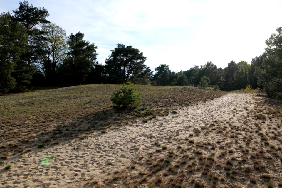 Dünen Dabendorf 2021-05-09 07