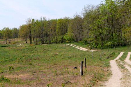 Döberitzer Heide open landscape 2020-05-08 73