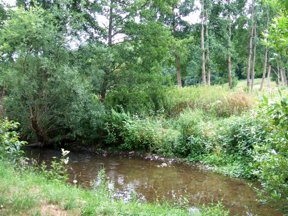 Dümmelbach Unterlauf