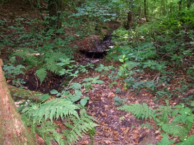 Dümmelbach oberhalb Sandfang