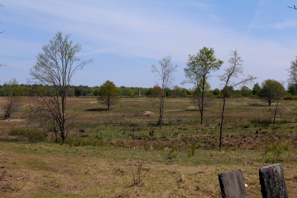 Döberitzer Heide open landscape 2020-05-08 27